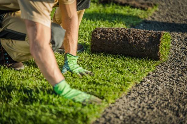 Landscaping Laborers in Canada