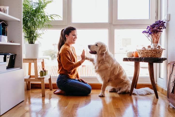 Pet Sitter Jobs in Canada