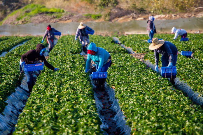 Top 10 Easiest Jobs to Secure Abroad in 2025
