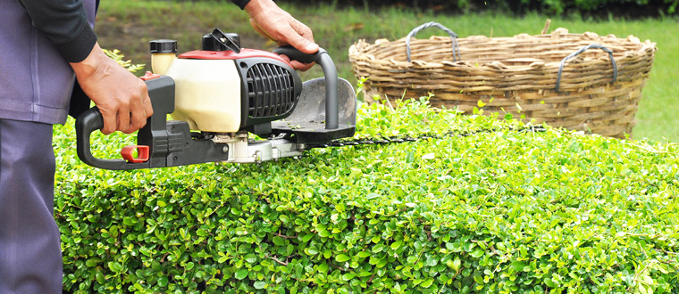 How to Find and Secure Groundskeeper/Landscaper Jobs in Canada with Visa Sponsorship